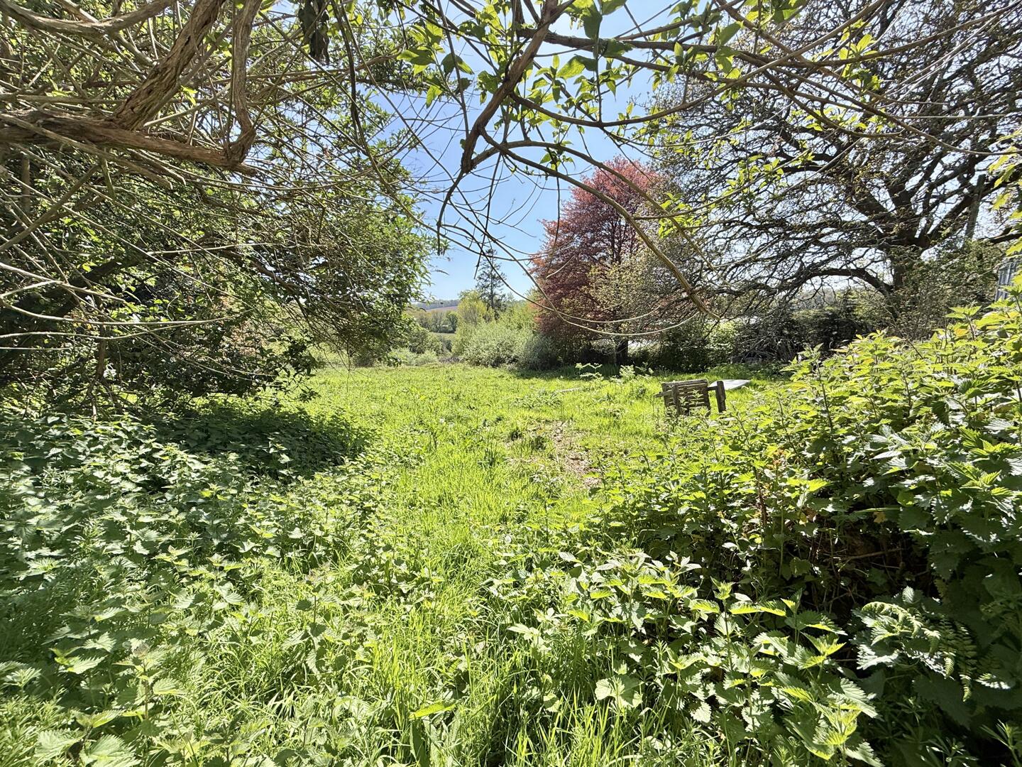 Old Carnon Hill, Carnon Downs, Truro